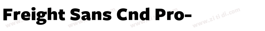 Freight Sans Cnd Pro字体转换
